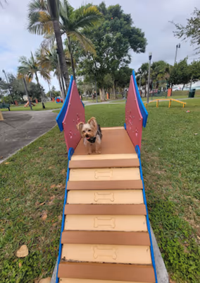 Dog Park at Homestead Park
